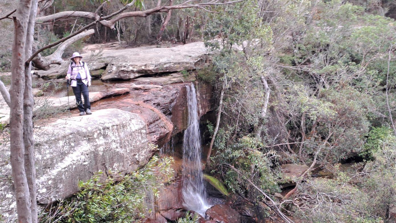 feature image for ROYAL NP (Grade 3) - Audley/Uloola Falls Loop