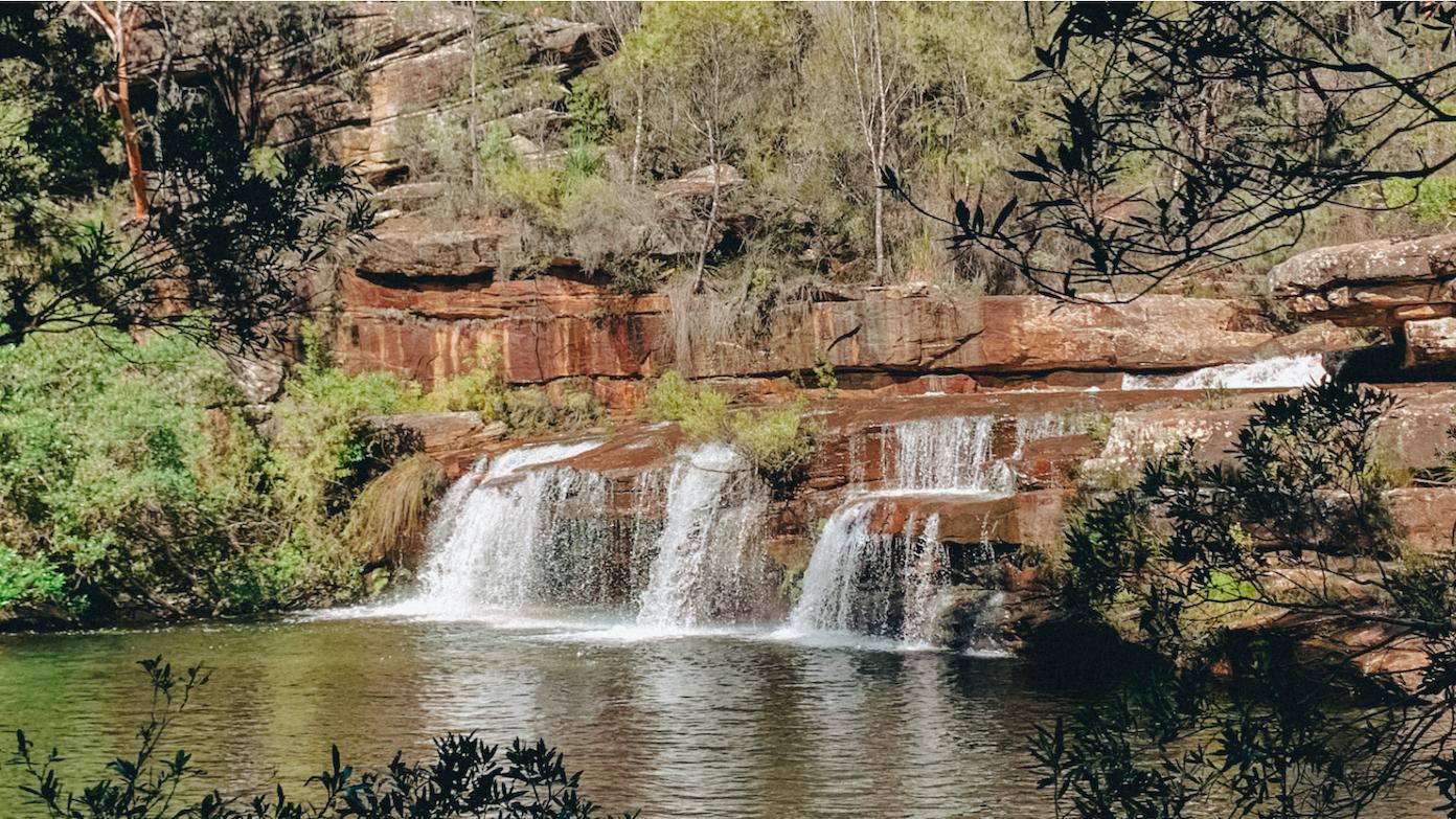 feature image for ROYAL NP - WINIFRED FALLS (Grade 3)