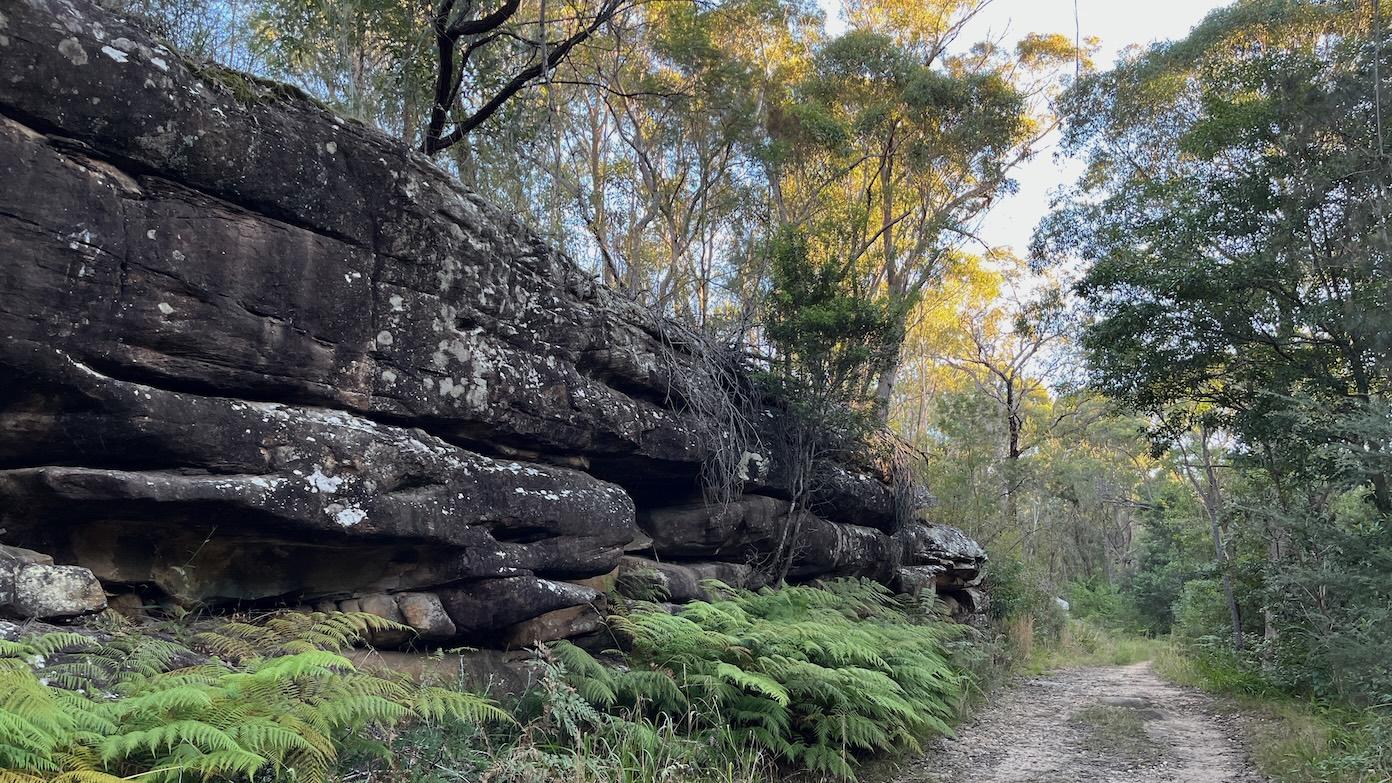 feature image for STILL CREEK TRAIL - MENAI (Grade 3)