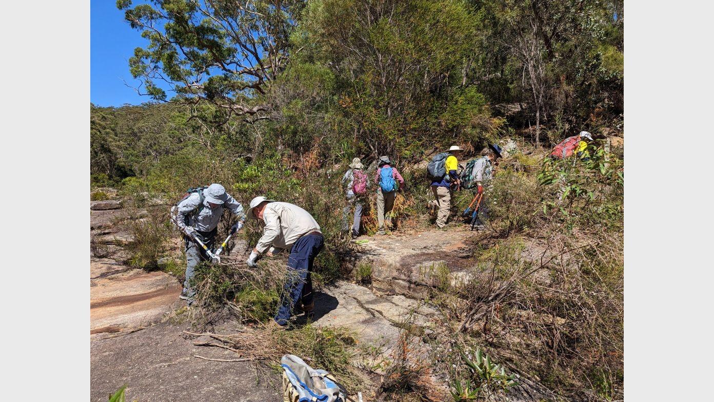 feature image for New TRACK WORK: ADOPT-A-TRACK, ROYAL NP (Grade 3)
