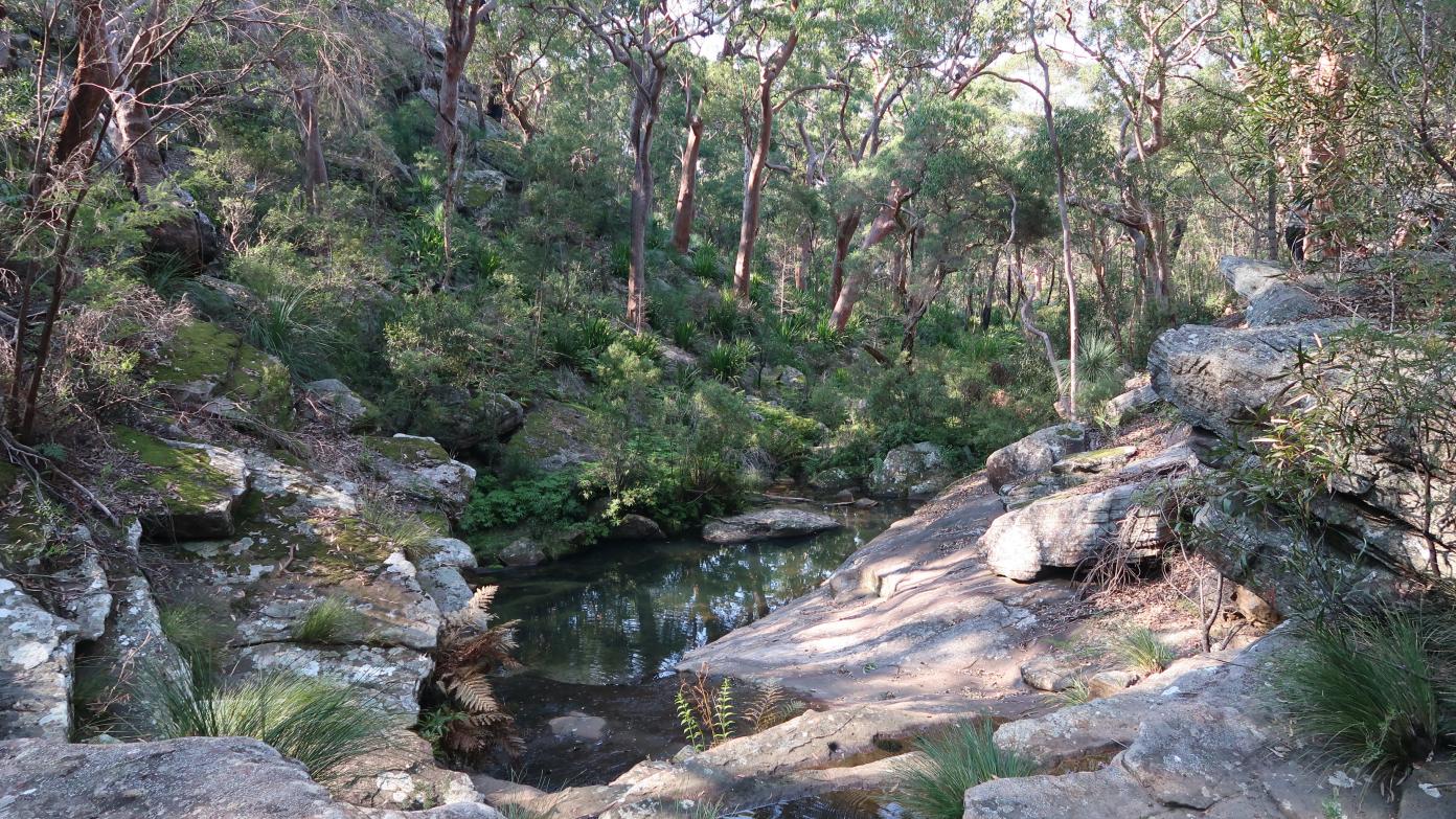 feature image for WEST MENAI - SOUTHERN SECTION - BARDEN CREEK (Grade 2/Grade 3)