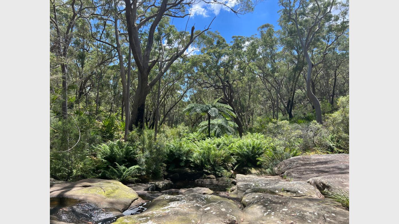 feature image for New walk: WEST MENAI - MIDDLE SECTION - MILL CREEK (Grade 4)