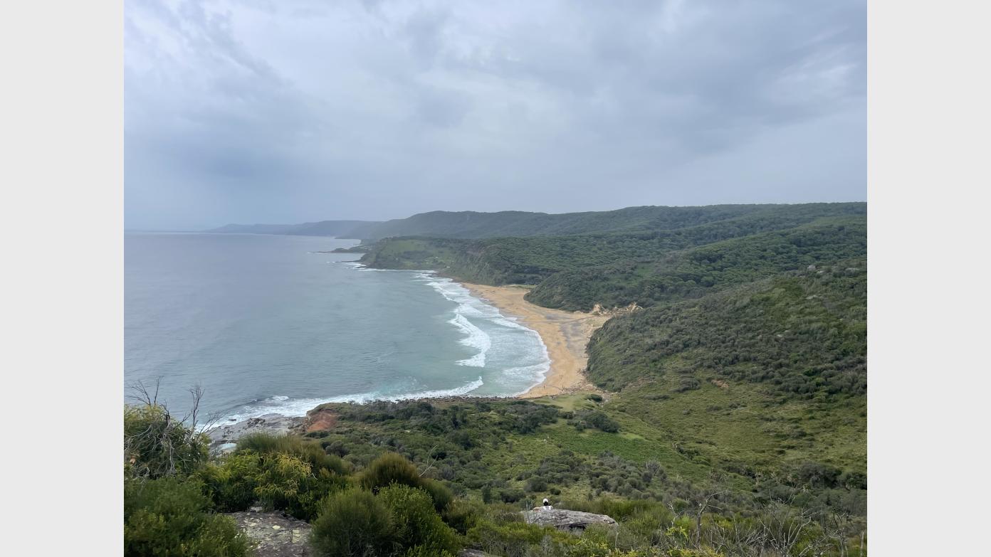 feature image for TRIP FULL- RNP CURRA MOORS (Grade 3)