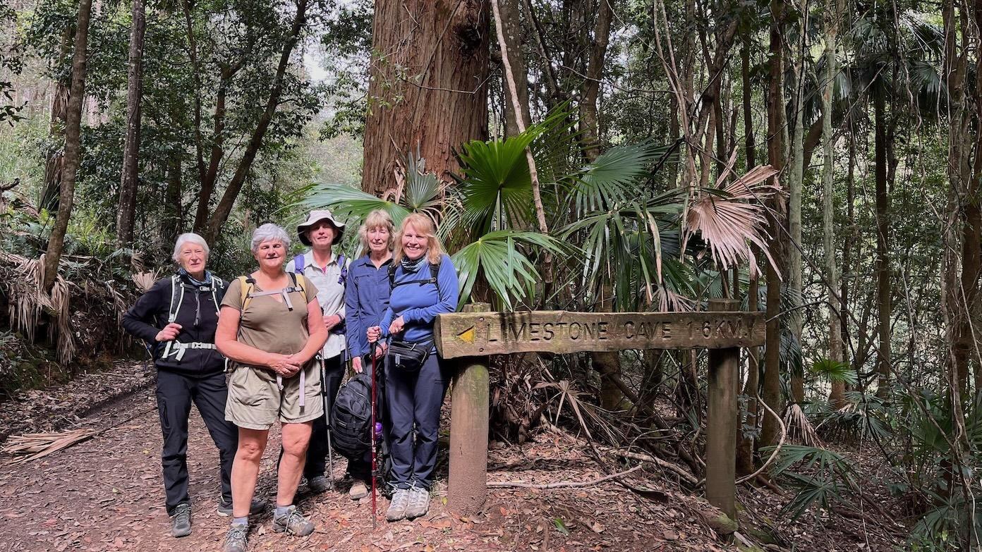 feature image for ROYAL NP (Grade 3 ) - Forest Path and Palona Cave