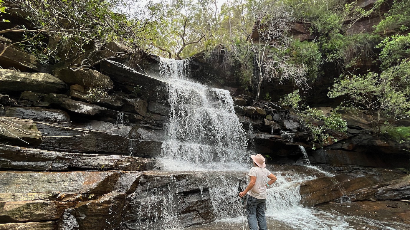 feature image for ROYAL NP (Grade 3): LOFTUS TO ENGADINE