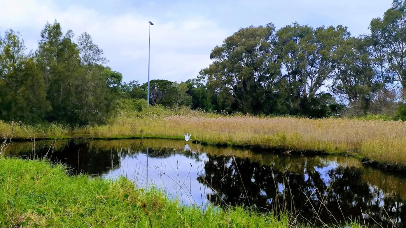 feature image for URBAN WALK (Grade 2) - RAMSGATE TO BRIGHTON-LE-SANDS LOOP