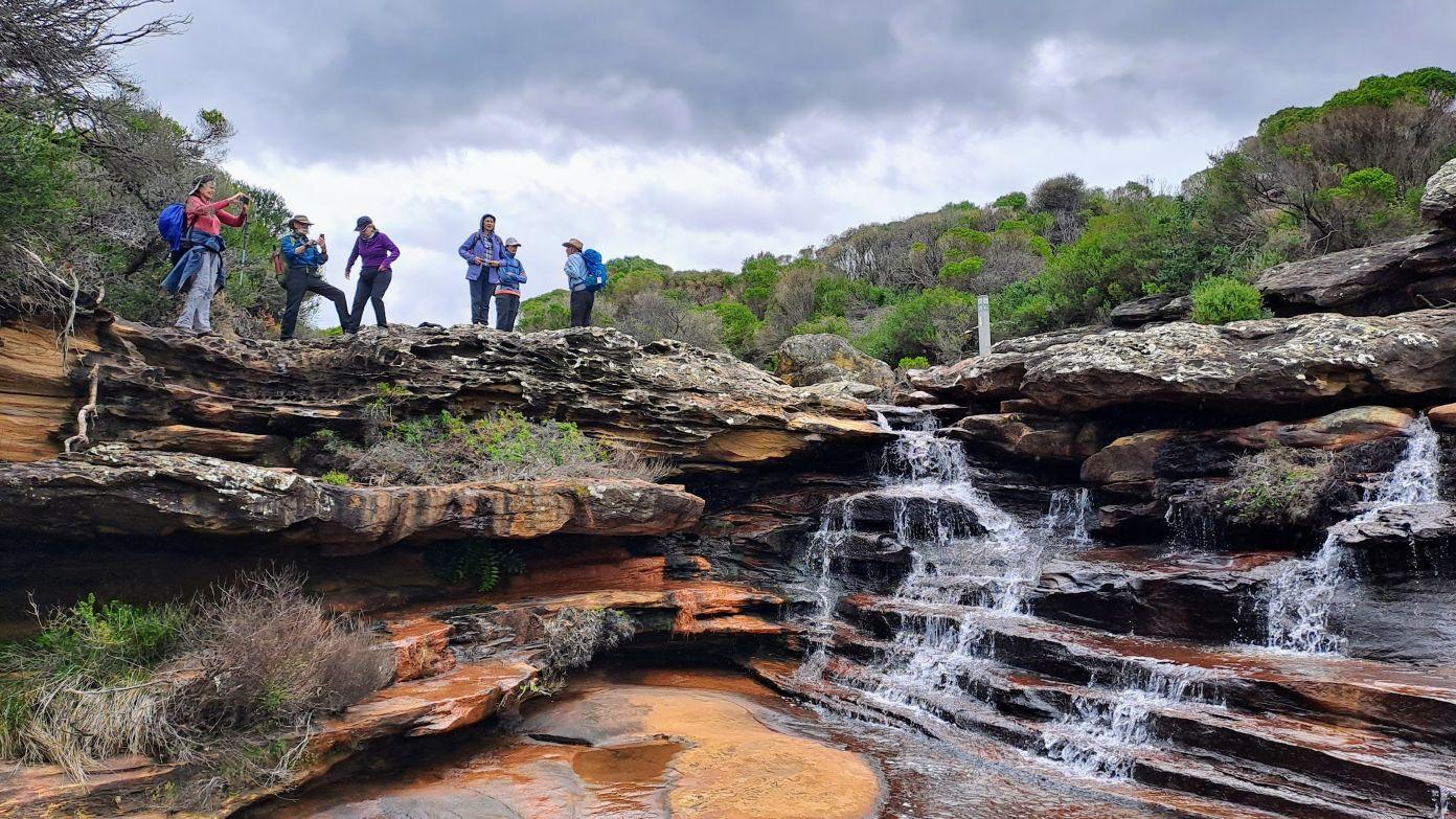 feature image for ROYAL NP (Grade 3) - DEER POOL TO CURRA MOORS VIA CURRACURRANG