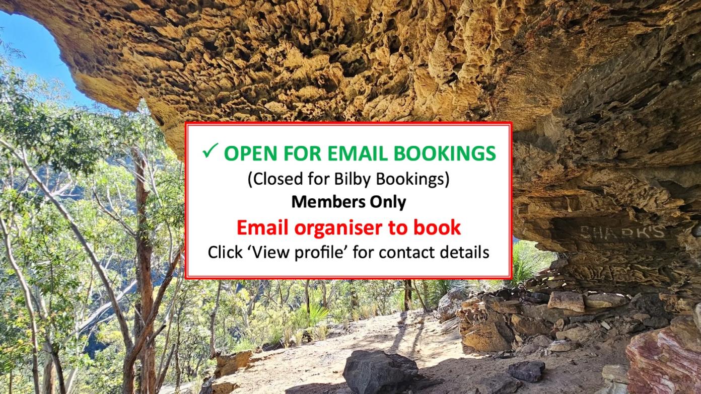 feature image for BLUE MOUNTAINS BUSHWALK (GRADE 4)
