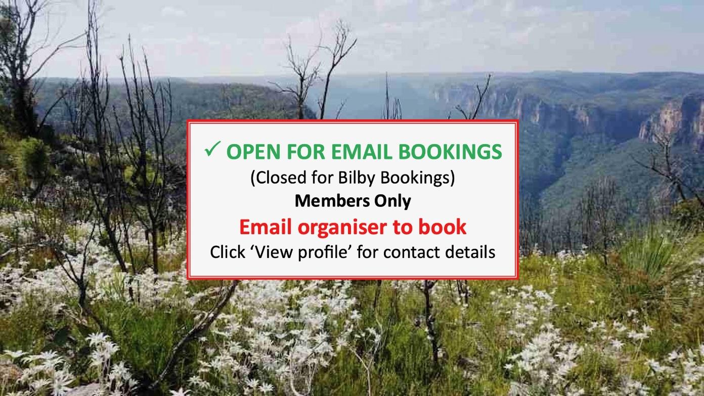 feature image for BLUE MOUNTAINS BUSHWALK (Grade 4)