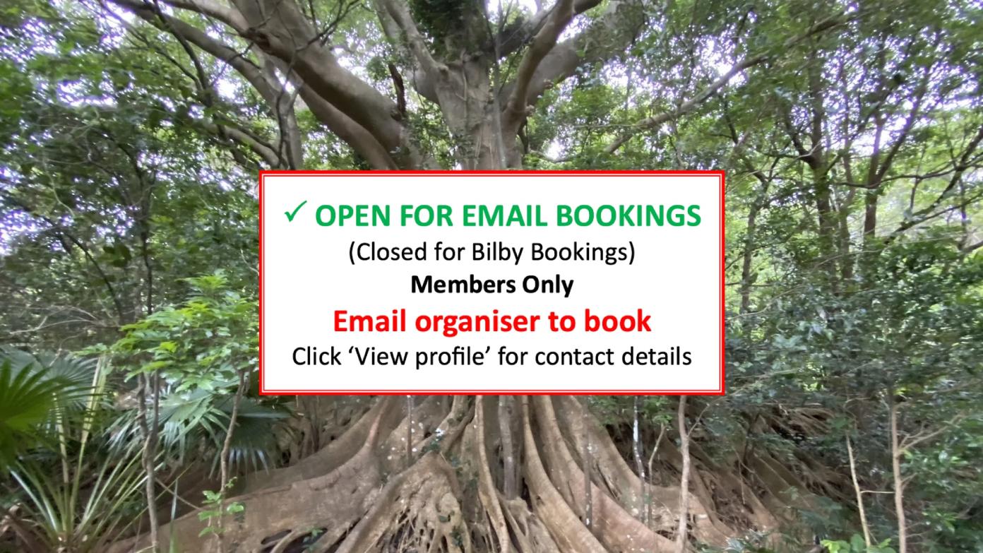 feature image for ILLAWARRA BUSHWALK (Grade 3/4) - Mount Keira