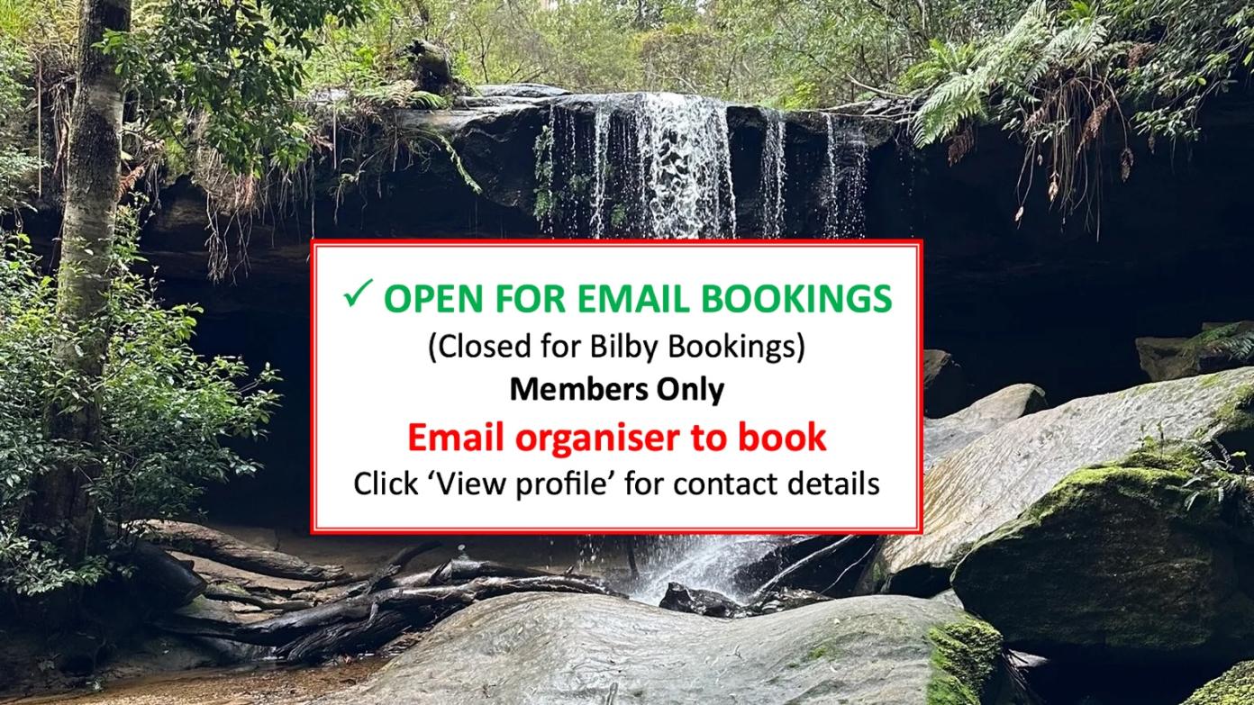 feature image for BLUE MOUNTAINS BUSHWALK (Grade 3-4)