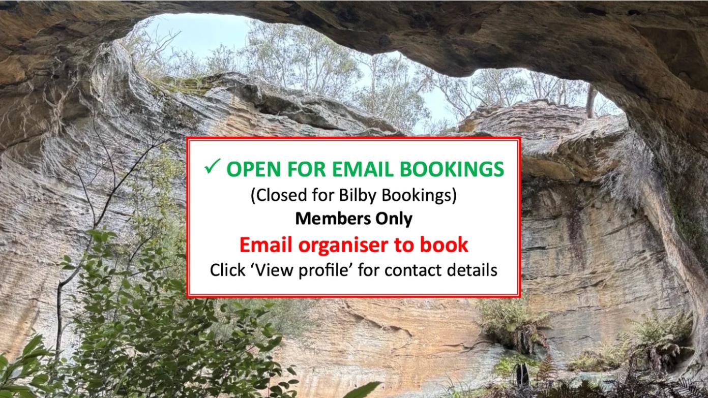 feature image for BLUE MOUNTAINS BUSHWALK (Grade 4)