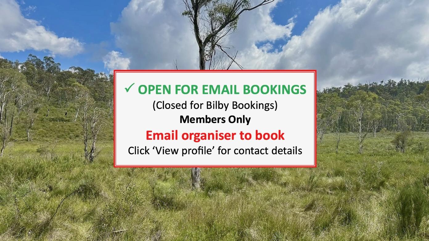 feature image for BLUE MOUNTAINS BUSHWALK (Grade 4)