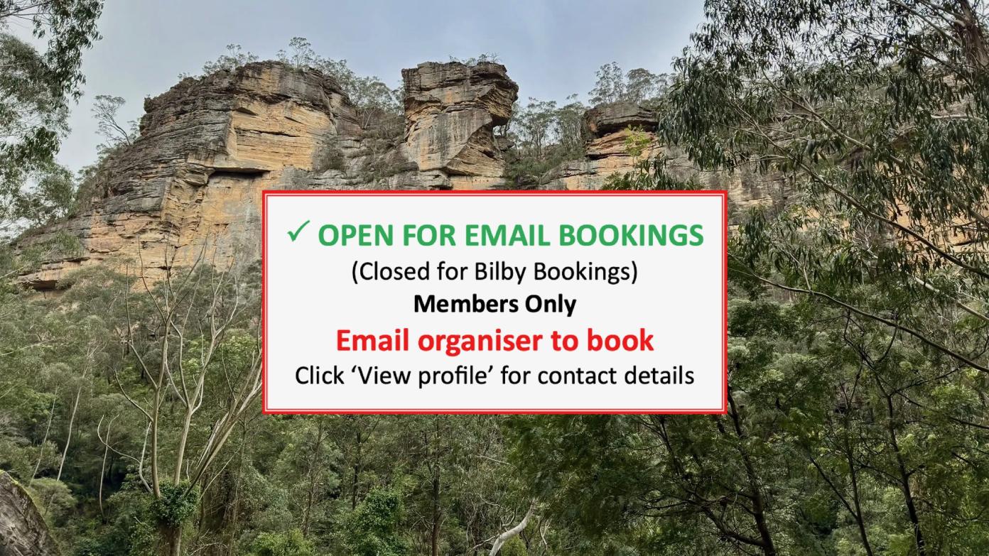 feature image for BLUE MOUNTAINS BUSHWALK (GRADE 4-5)
