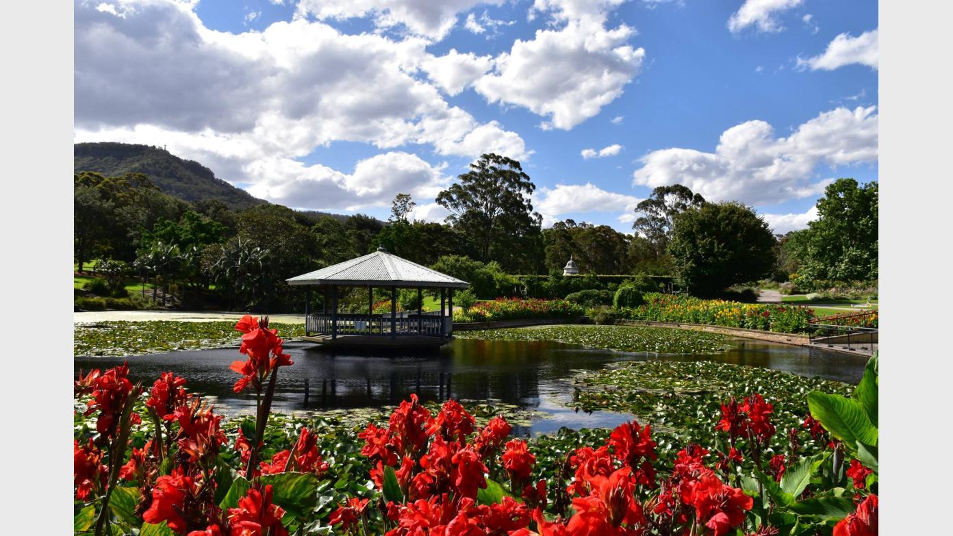 feature image for WOLLONGONG BOTANIC GARDEN (Grade 1/2)