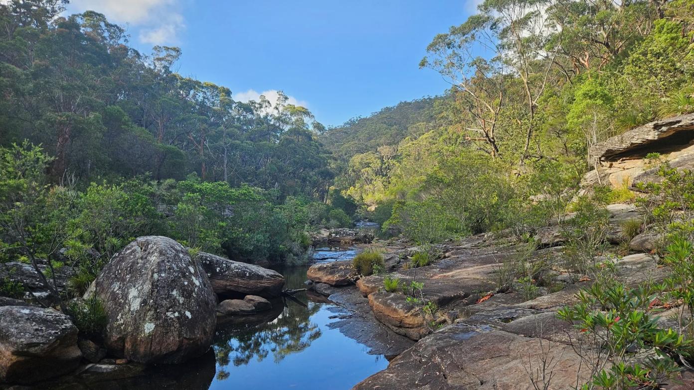 feature image for ROYAL NP (Grade 3) - Engadine Track and Robertson Knoll