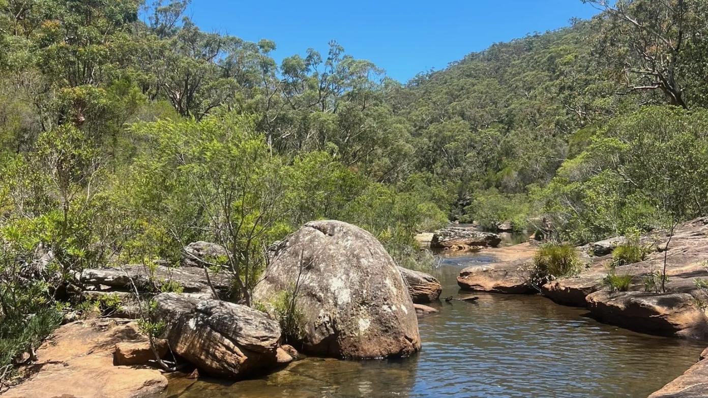 feature image for ROYAL NP (Grade 4): HEATHCOTE - ULOOLA - ROBERTSON KNOLL - HEATHCOTE