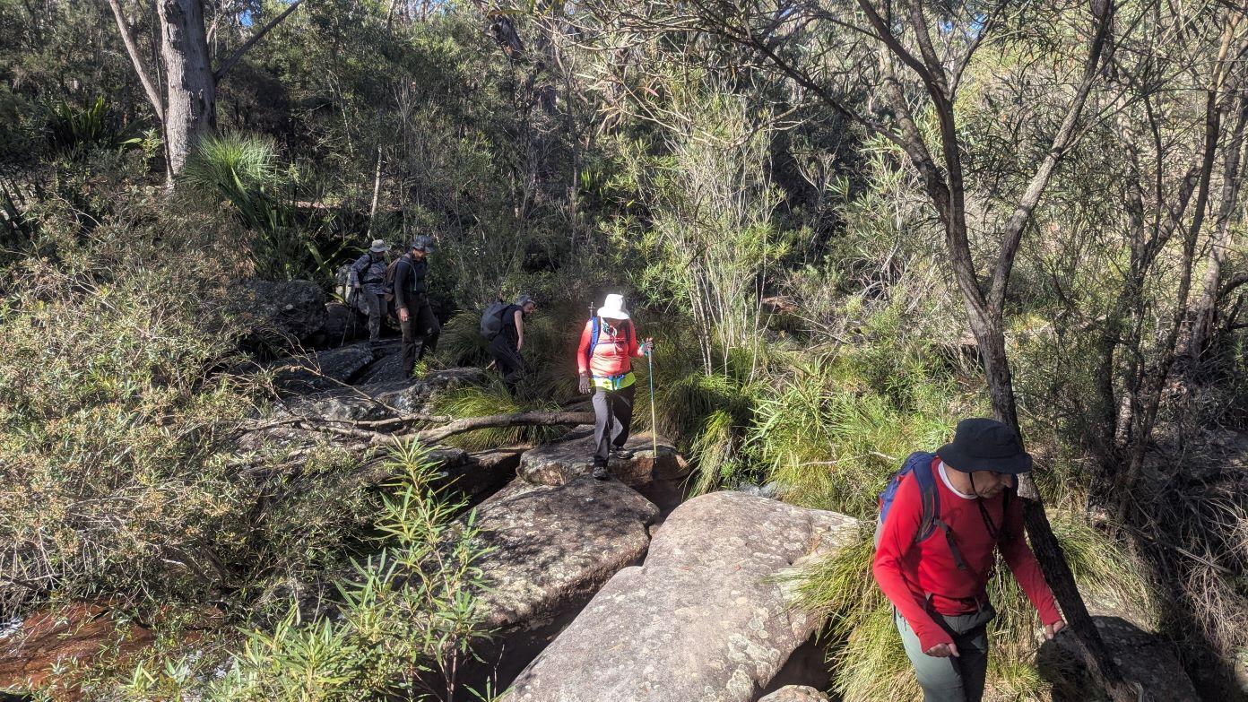 feature image for New walk - HEATHCOTE NP: Mooray - Bullawarring Loop (Grade 3)