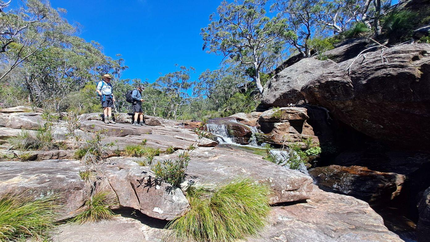 feature image for New walk: ROYAL NP (Grade 4) - Flat Rock Crossing to Audley