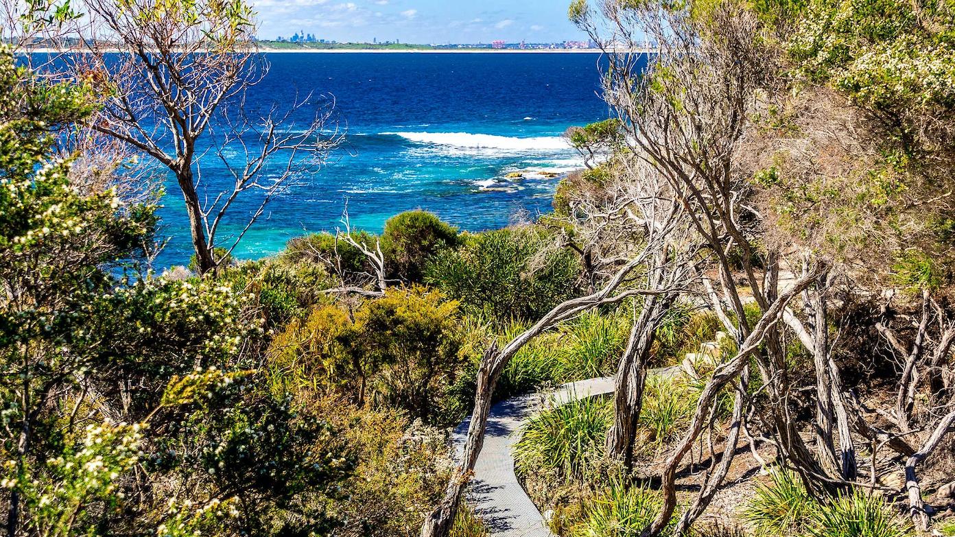 feature image for ROYAL NP - BUNDEENA, JIBBON HEAD CIRCUIT (Grade 3)